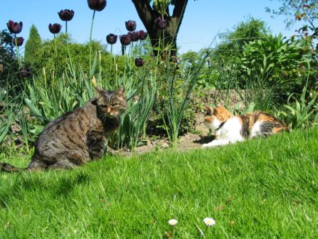 Hoorah wir sind 19 !!!