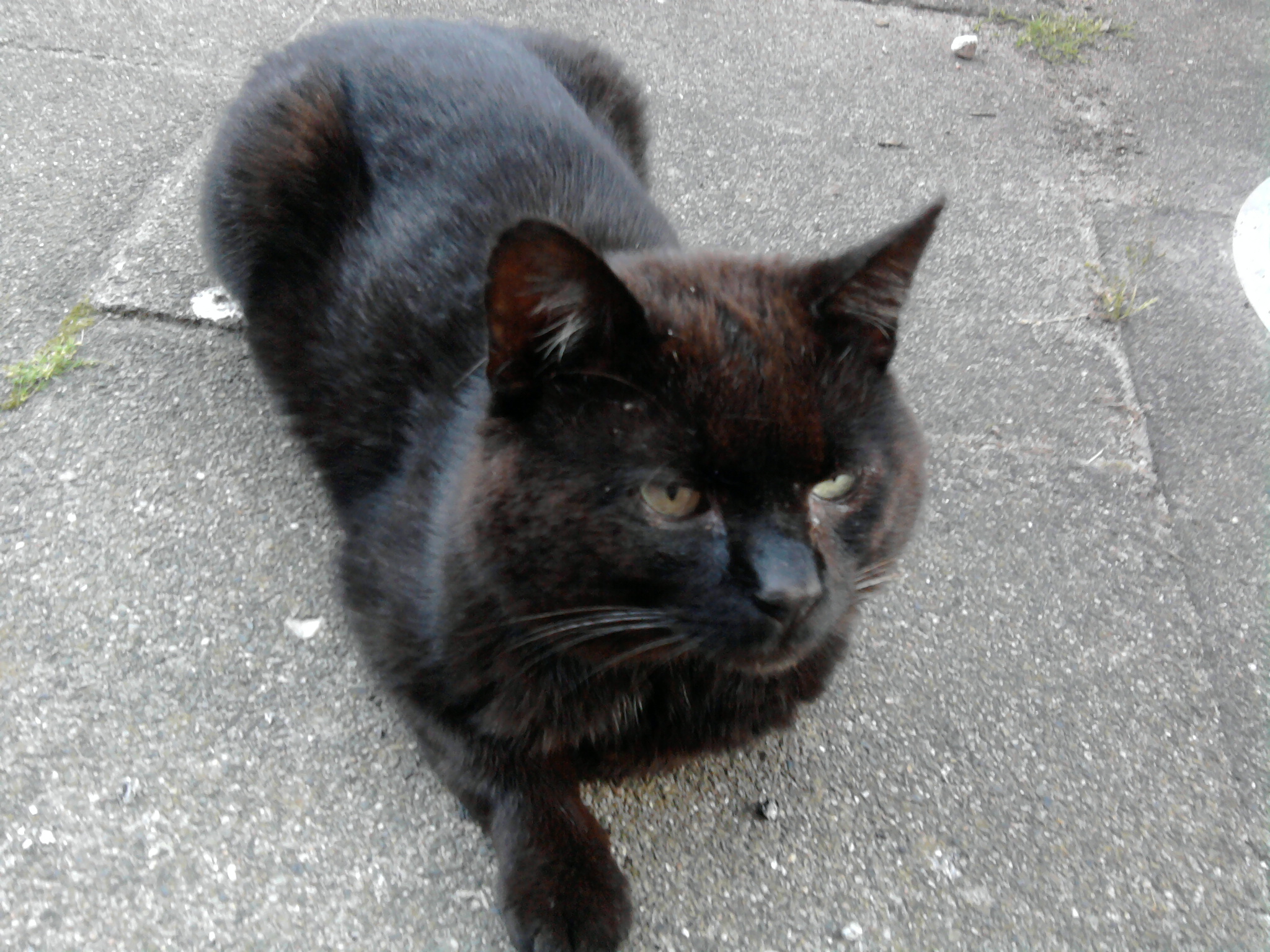 Humpel verstorben 2015