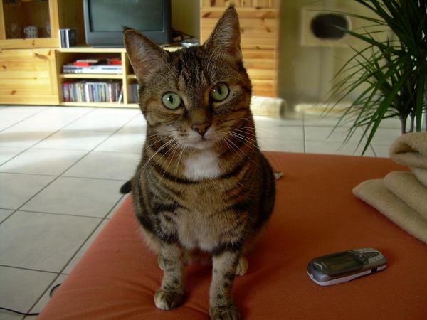 Hypnose gefällig? :-)