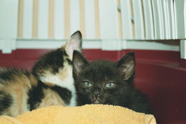 ich bin das Böse ;-D