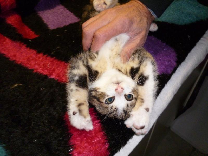 Ich bin kitzelig! (2012)