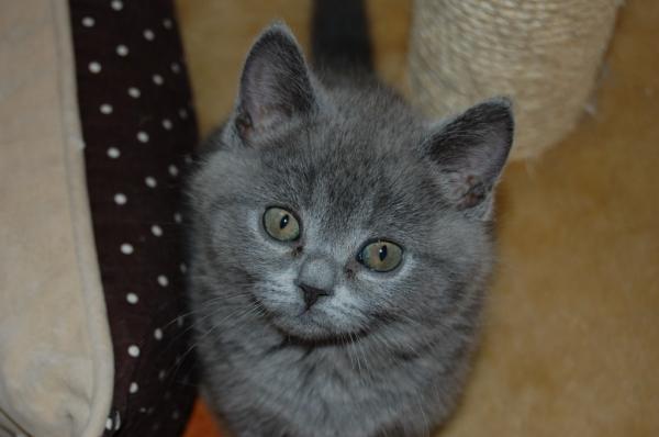 ich bin neu hier....mal sehen wie ich mich hier einlebe