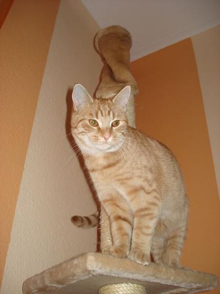 Ich bin schon ganz schön groß!