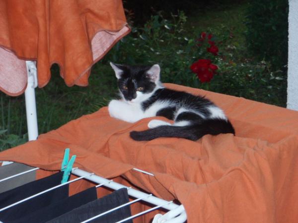 Ich falle hier nicht durch die Ritzen! ...Ich nicht! *gg