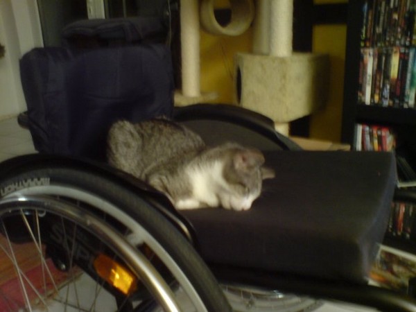 ich glaube sie ist eingeschlafen