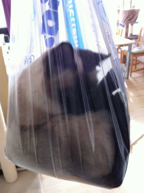 Ich habe wohl die Katze im "Sack" :)