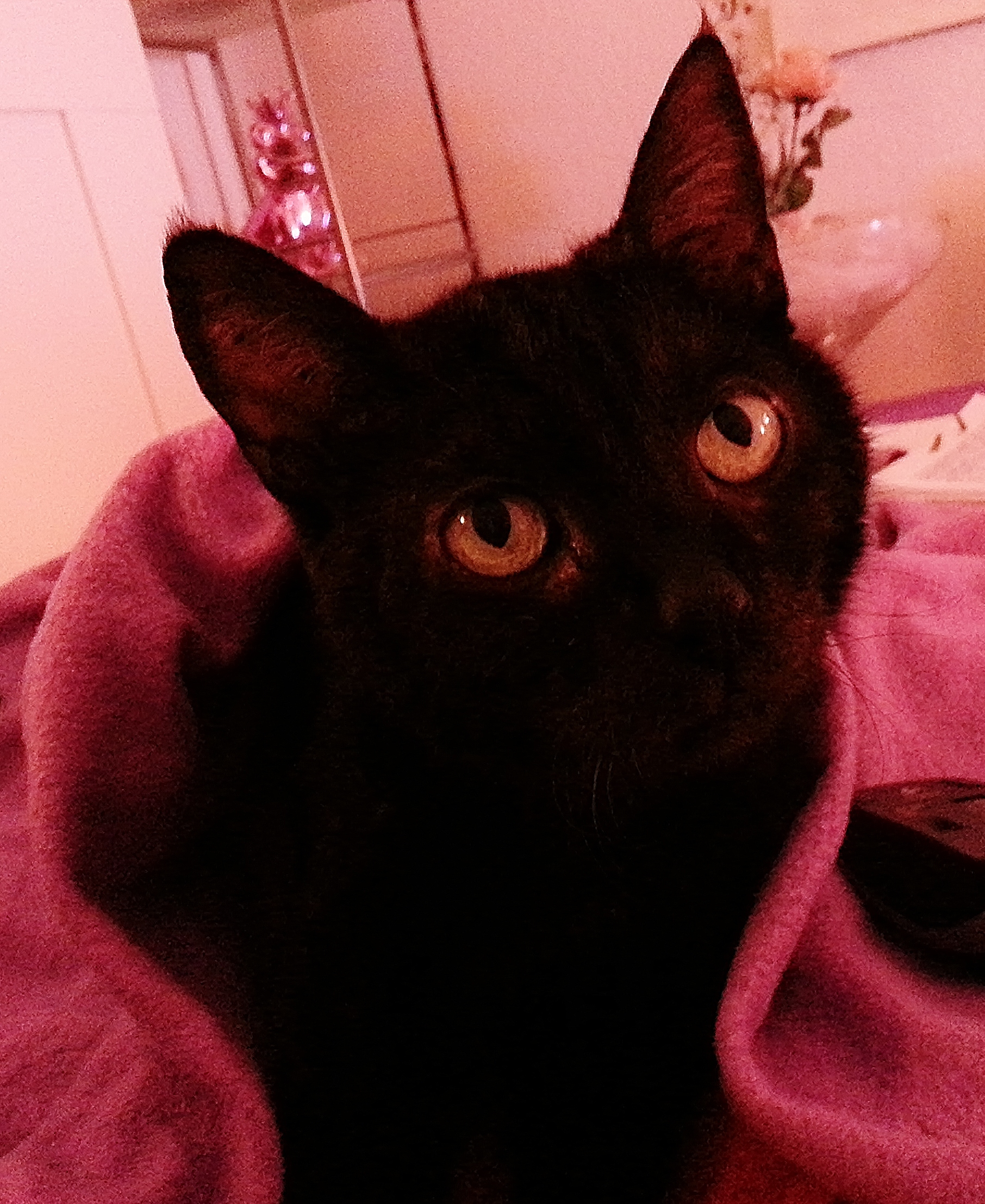 Ich liebe dich mein kleiner Prinz <3