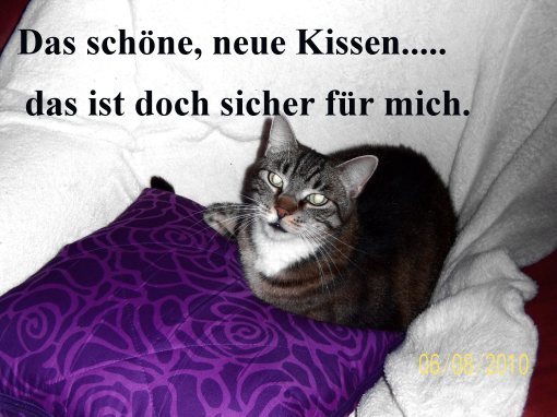 Ich liebe Kissen