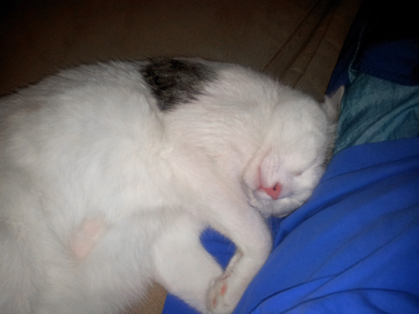 Ich muss immer Kontakt haben (Handyfoto)