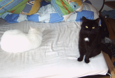 Ich wache über meine Bruder! Der hört dich ja net wenn du kommst!