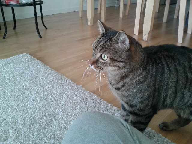 ich will da raus!!!!!!