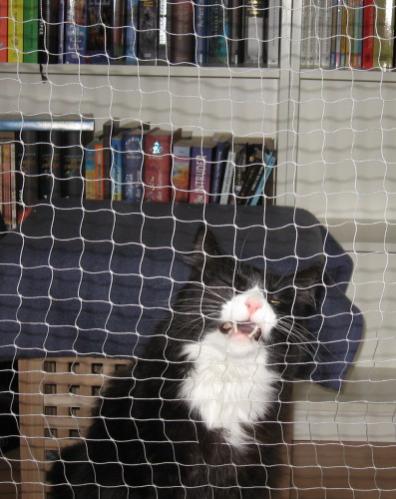 Ich will dir fressen...