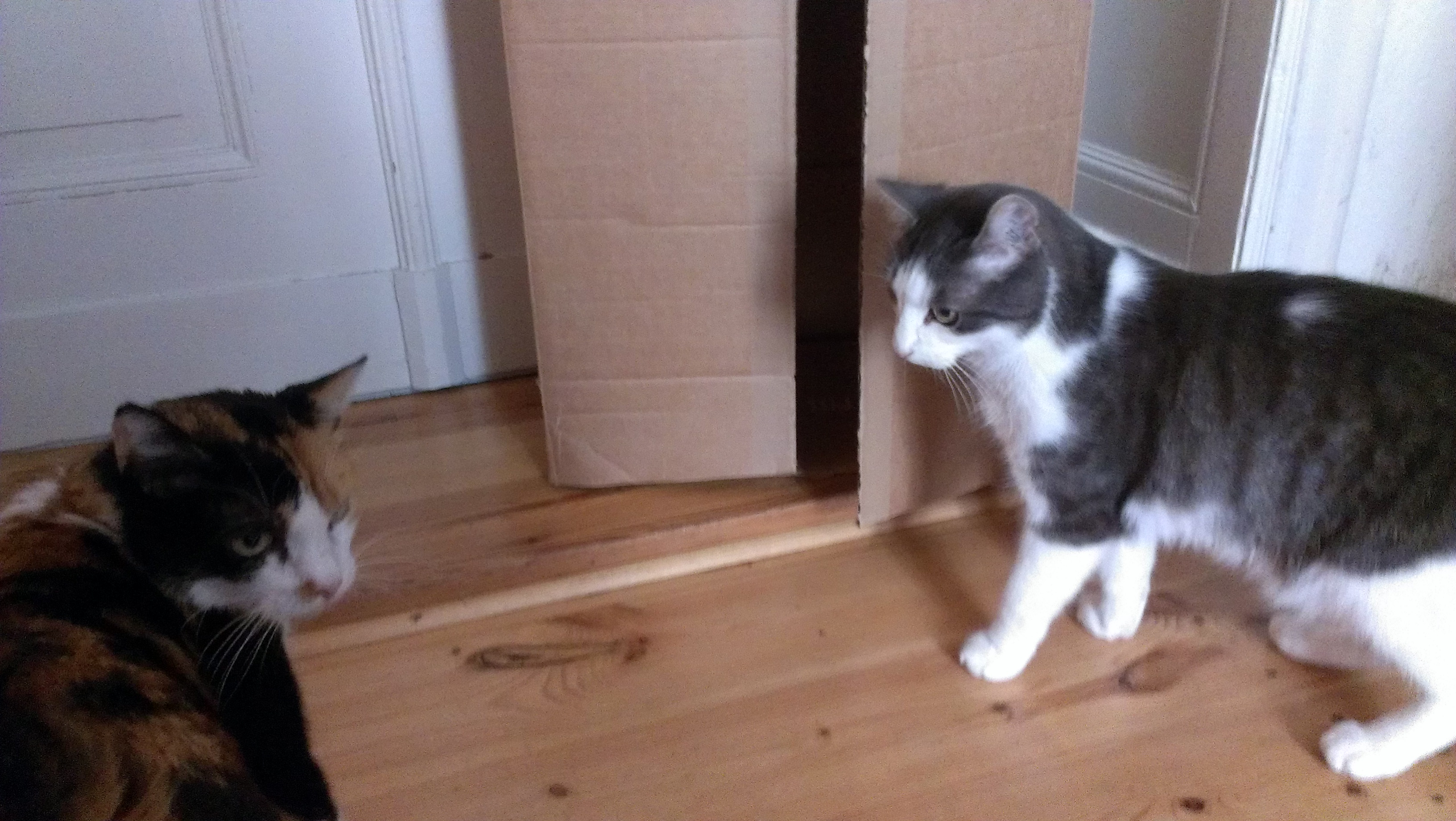 :( ihr ging es so schlecht...