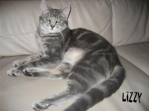 Ihre Hoheit Prinzessin Lizzy