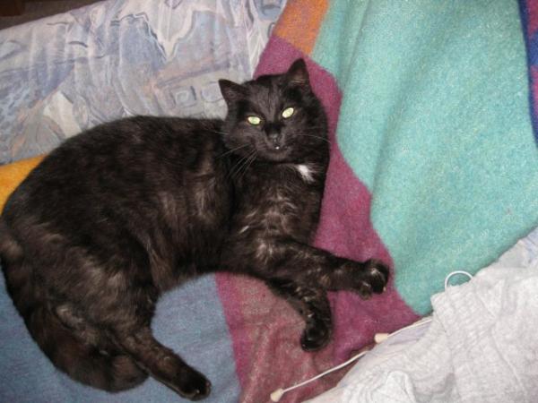 IMG 0246  Mein Sessel!