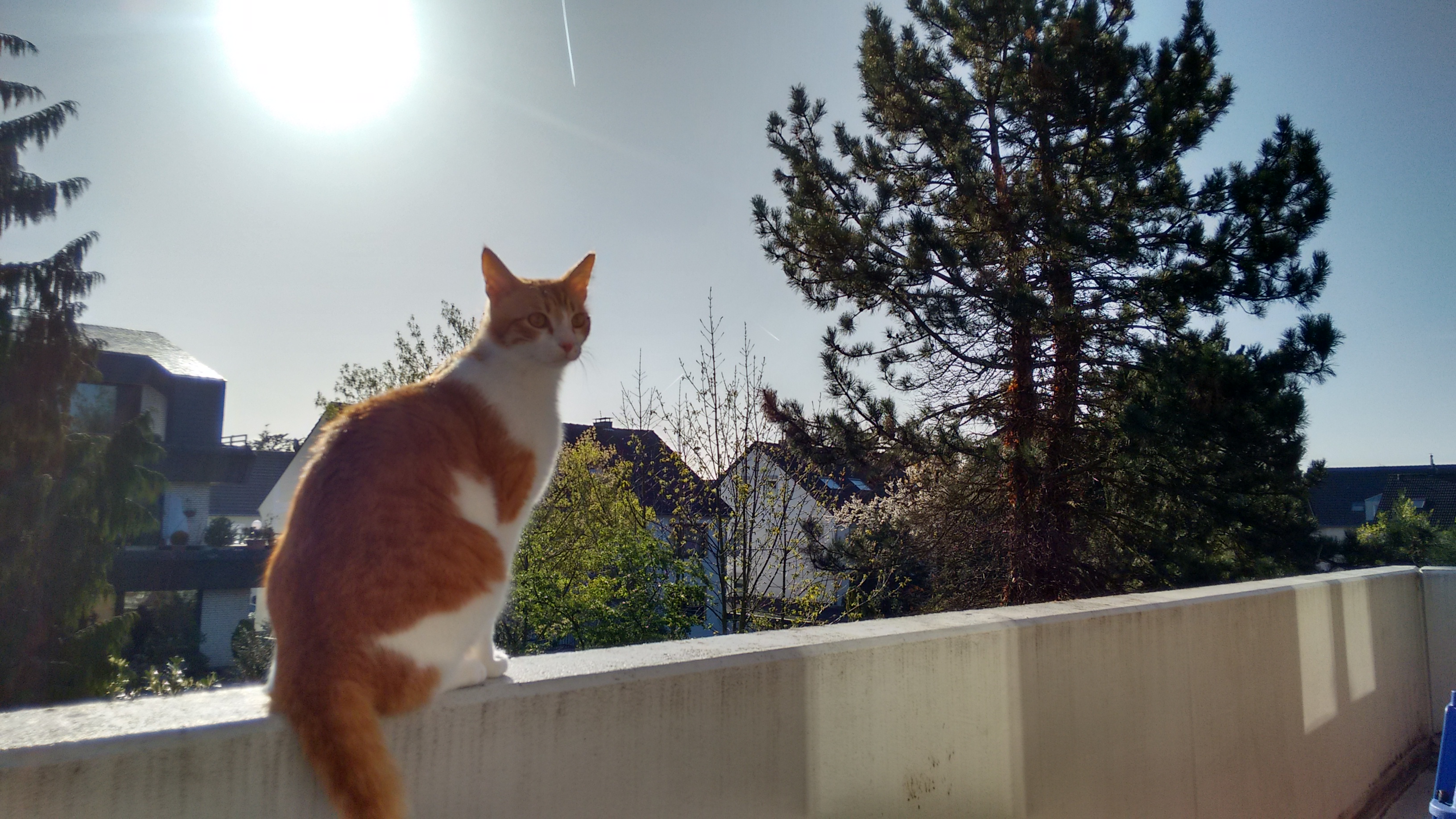 IMG 20160420 090235217 HDR