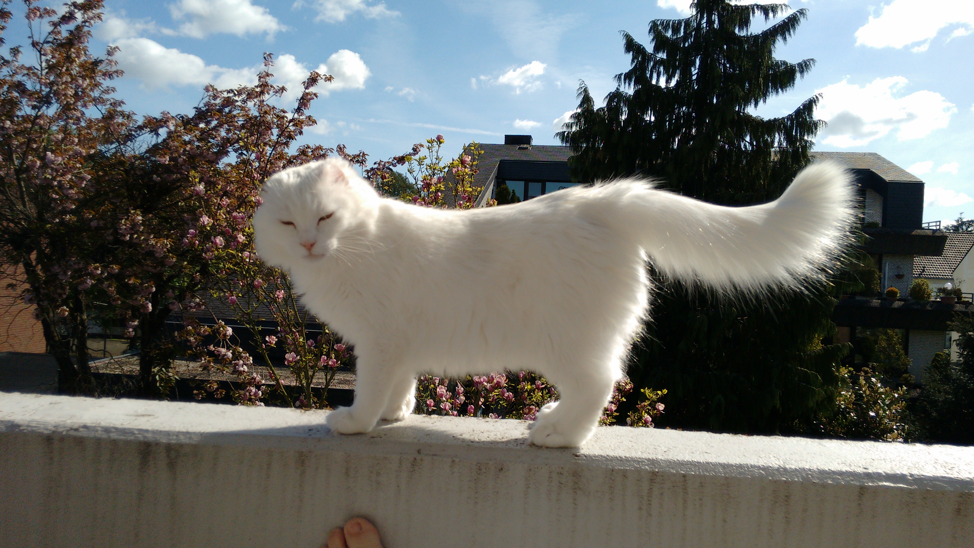 IMG 20160504 102455421