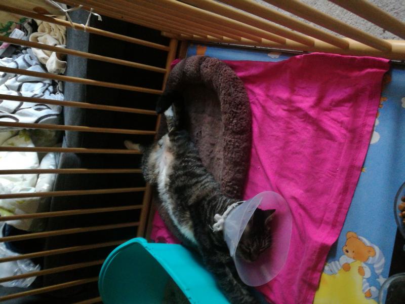 IMG 20180921 183737 BURST009