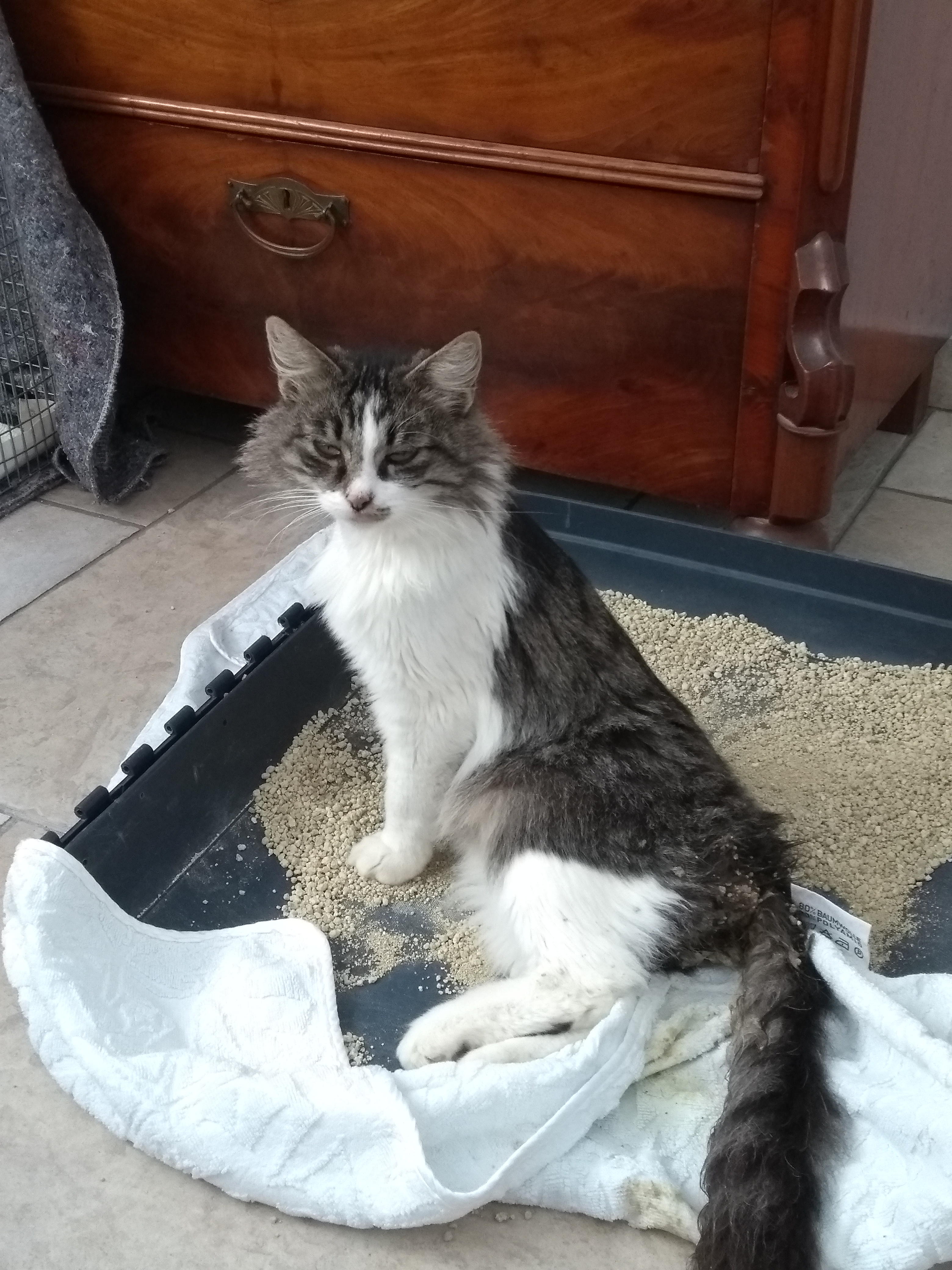 IMG 20181031 101853126