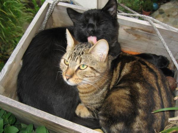 IMG 3038
auf dem balkon ist es doch am schönsten