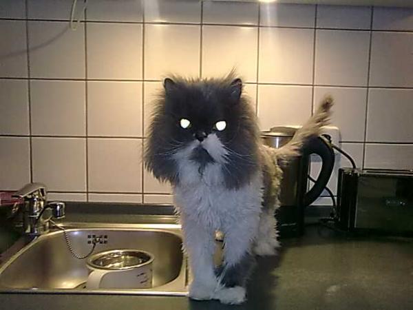 immer in der Nähe des Wassers