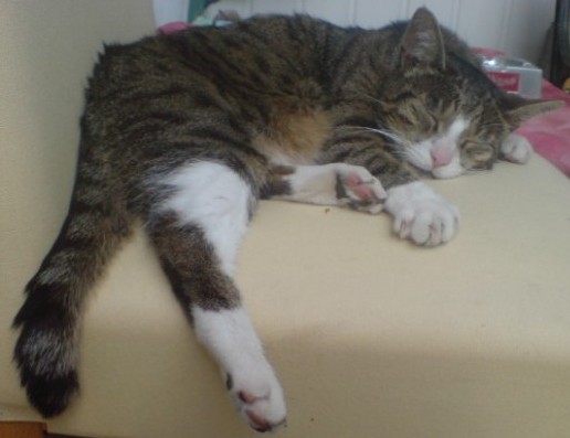 imperial januar 2011 001