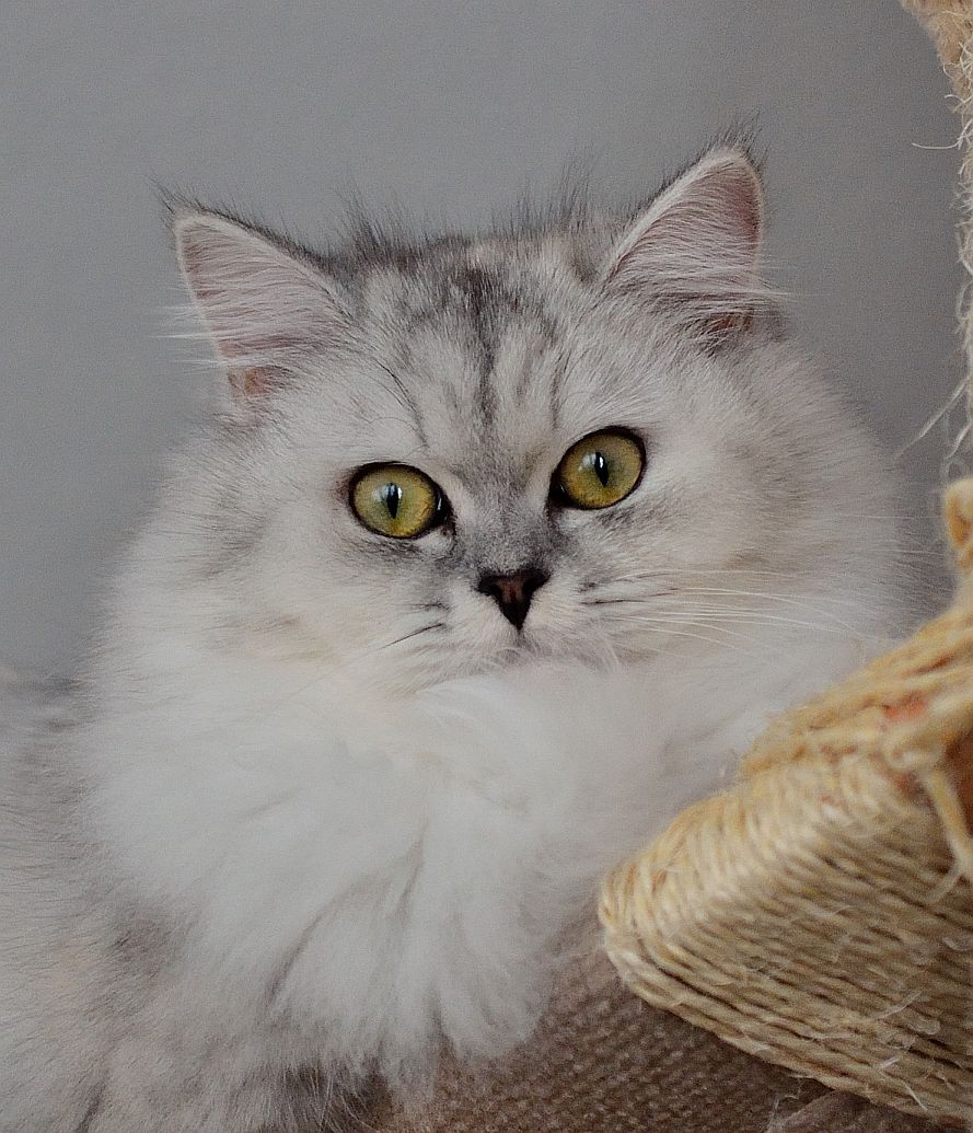 in schwindelnder Höhe