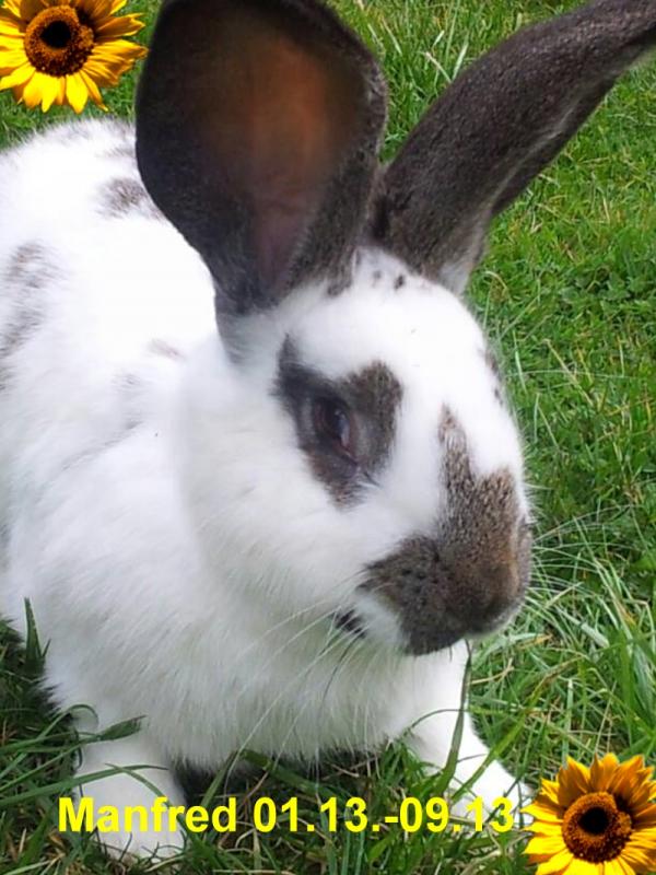 In stillen Gedenken.