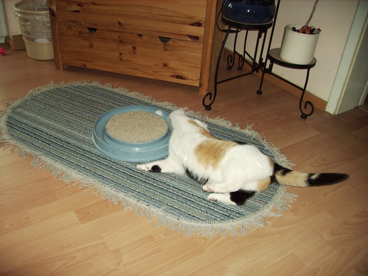 ... irgendwie klappen, die Kugel ...