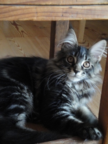 Ist da vielleicht eine Fliege?