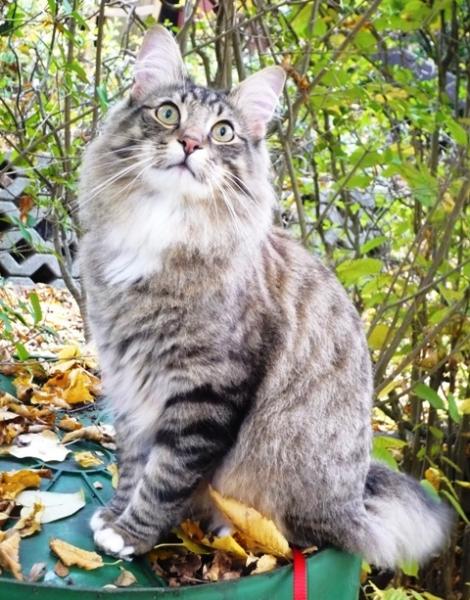 Ist das schööööön draußen!!!