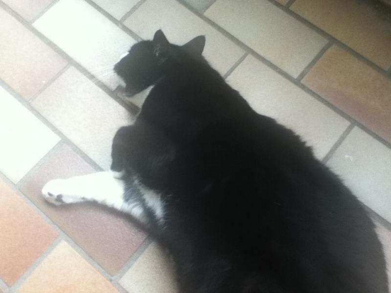 Ist schon sehr entspannend mal so durchgekneten zu werden. *lol*