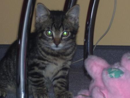 Ja, ich kann auch stillsitzen. Selten aber doch.