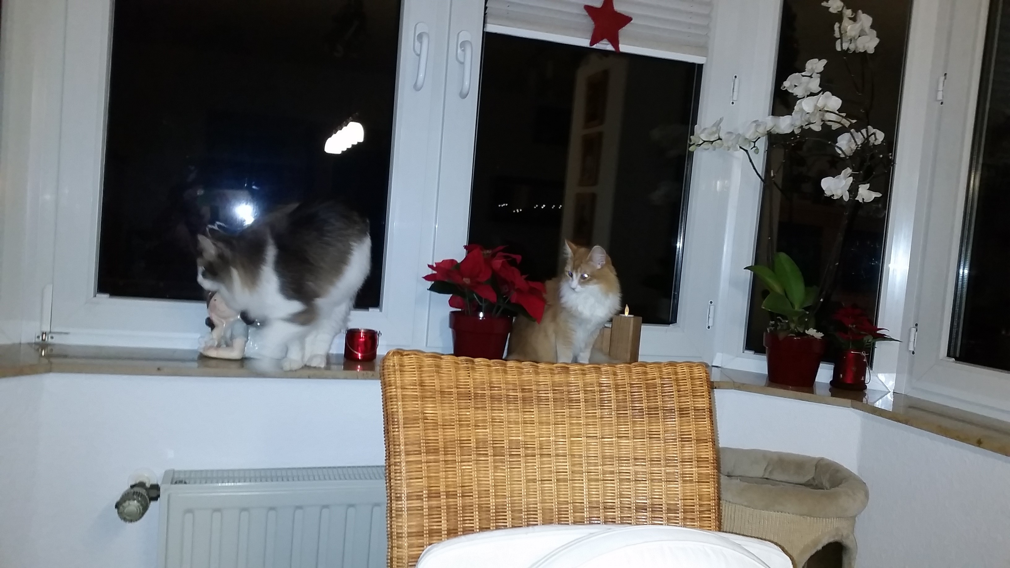 ja ist denn  schon wieder Weihnachten ?