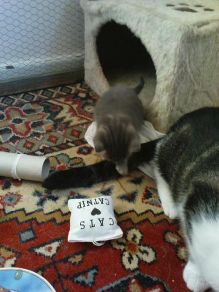 ja ja so klein waren die mal