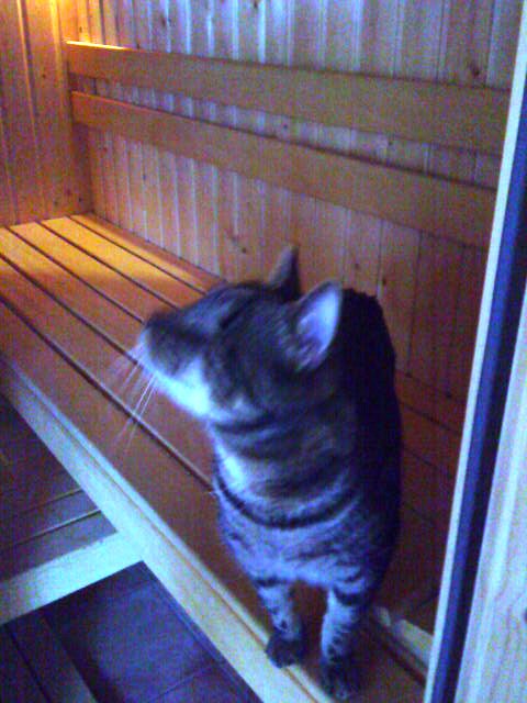 Ja, Paul sauniert auch manchmal. Er muss sich halt auch wo entspannen...