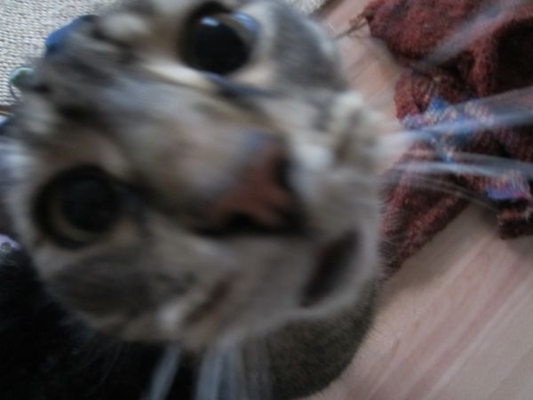 jaaa doof gucken kann er :)