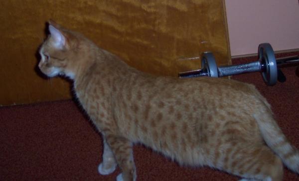 Jack lugt um die Ecke ;)