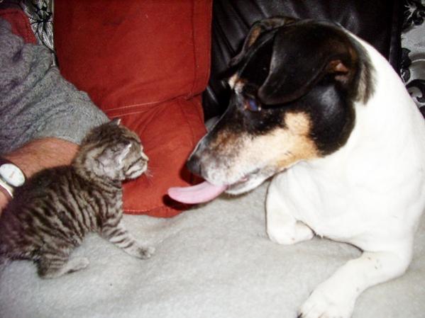 jacki mit kleiner katze 3
