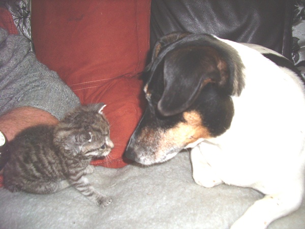 jacki mit kleiner katze