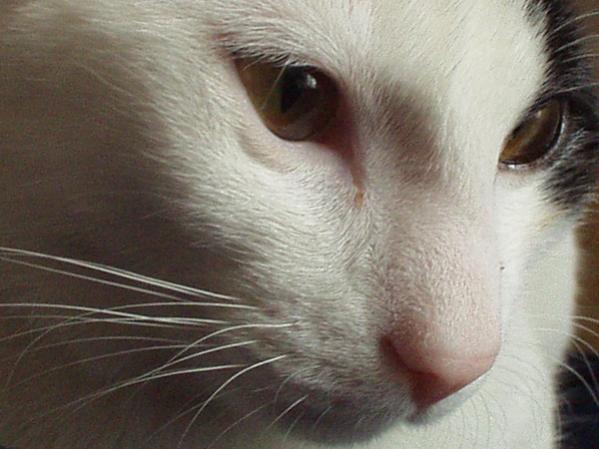 Jacky - der fotogenste von allen ;)