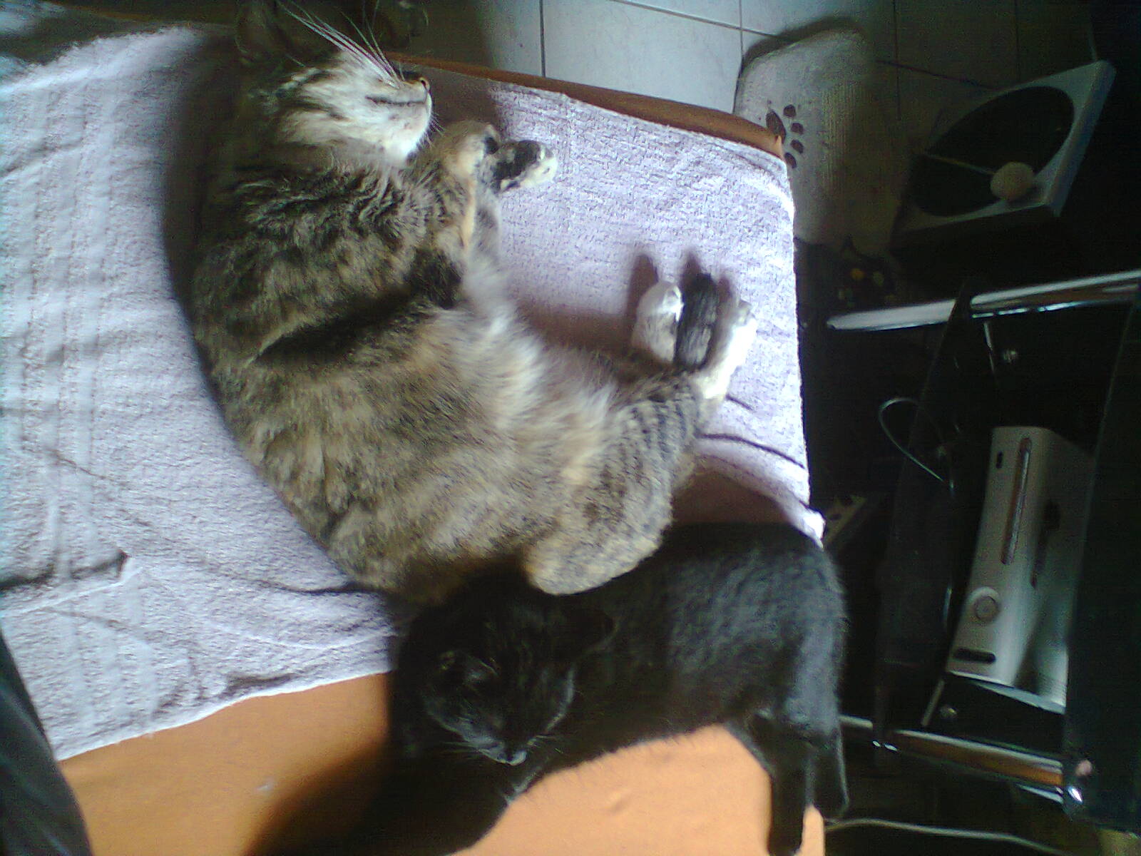 Jamila &amp; Felilou