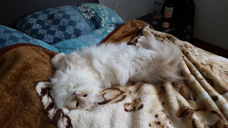 Janosch er hüpft immer wie ein Hase deshalb nenne ich ihn gerne Hasi =)