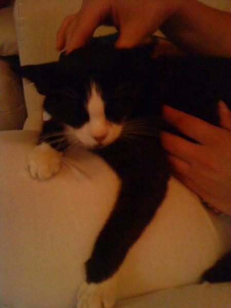 Java kriegt Streicheleinheiten :-)