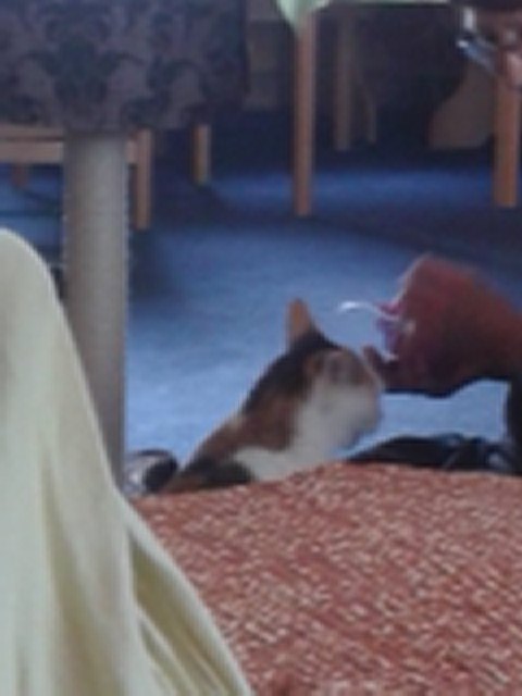 Jetzt aber ein Leckerlie. Her damit.