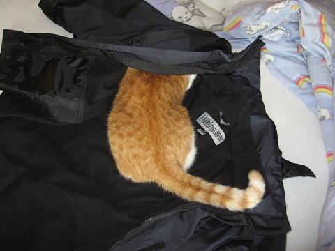 Jimmy hilft beim Jacke enthaaren