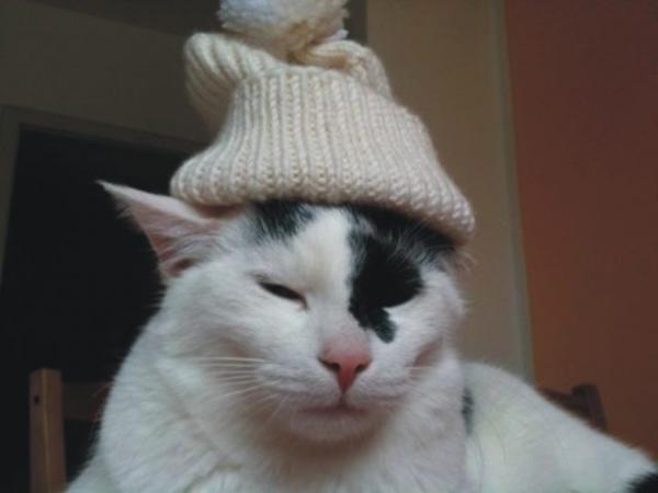 Jo Leid, koid is ma!