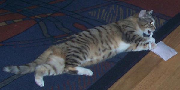 Juhuuuh, ich habs erwischt