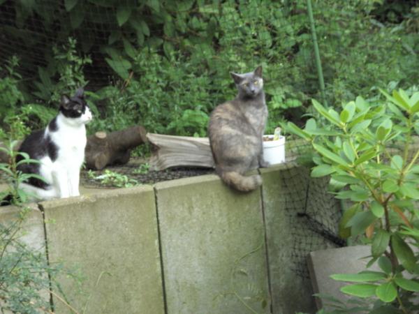 Julia und Lilli auf Terassenmäuerchen