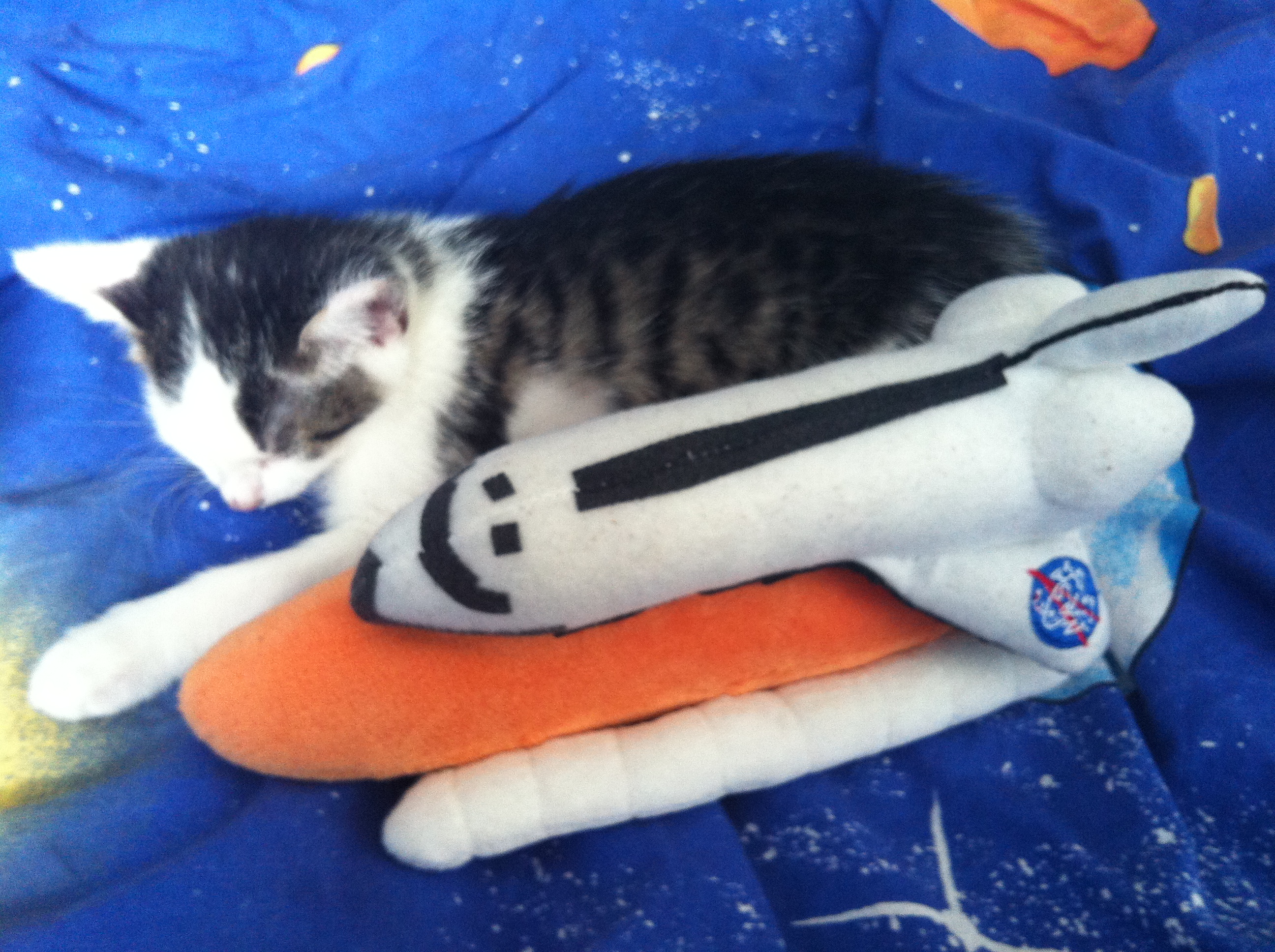 Juno rides the Rocket!